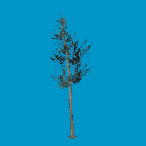 tree02_sg
