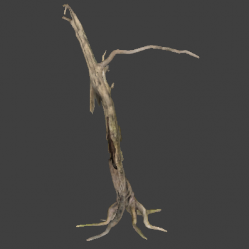 !tree_06