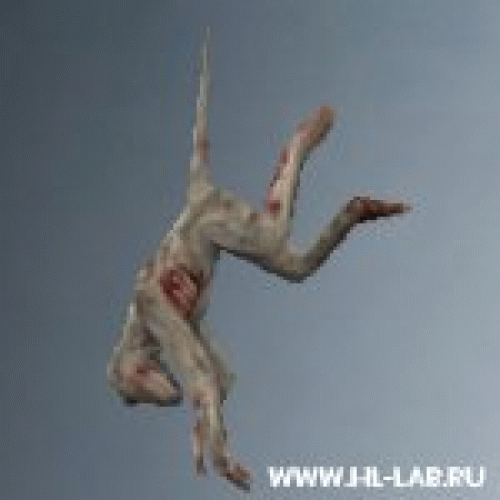 baboon.zip