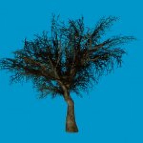 jn_eviltree_03