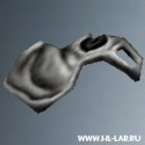 pelvis