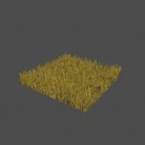 grass2