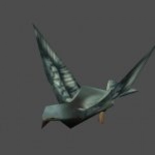 bird