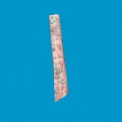 jn_blue_mushroom_02_gib00