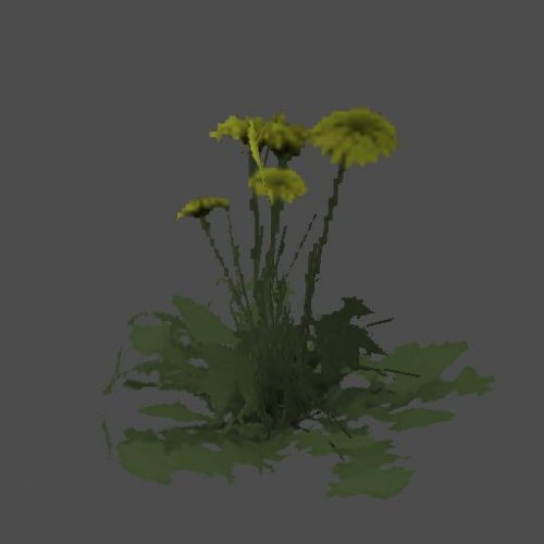 AA_Flower02a_NK_SMesh