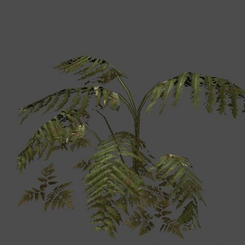 p2_bush04