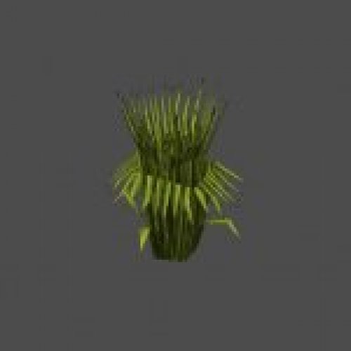grass4