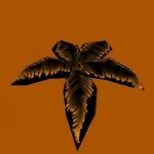 glow fern1