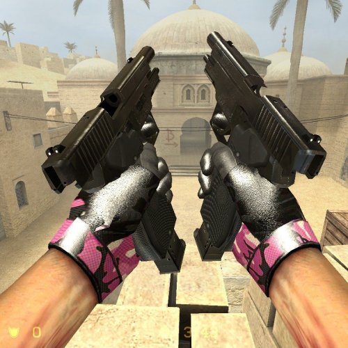 Custom p226 Dualies