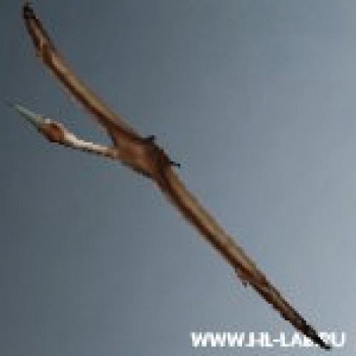 pteradon2.zip
