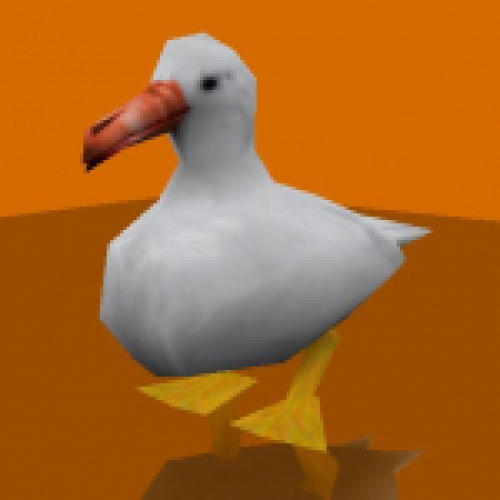 bi2_gull
