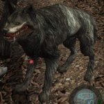 Infected Wolf HD