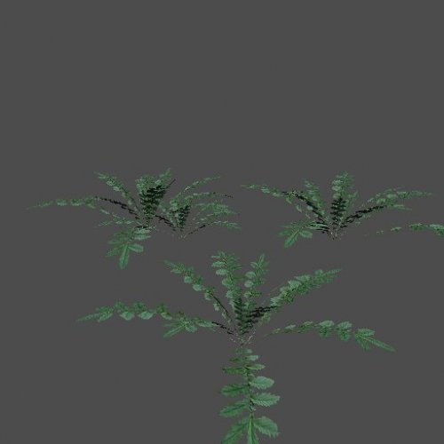 Weed_03
