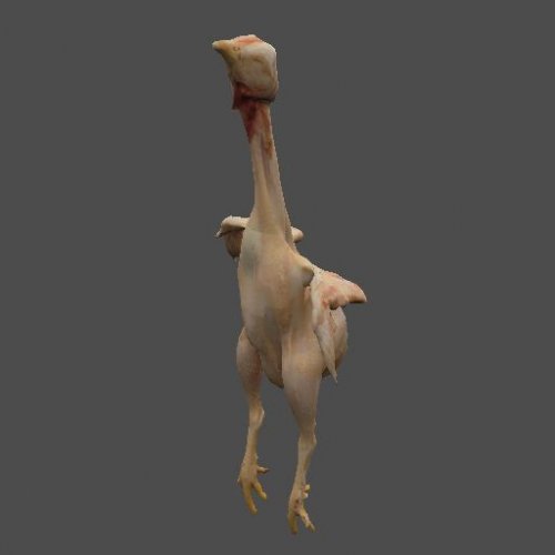 mex_chicken_x