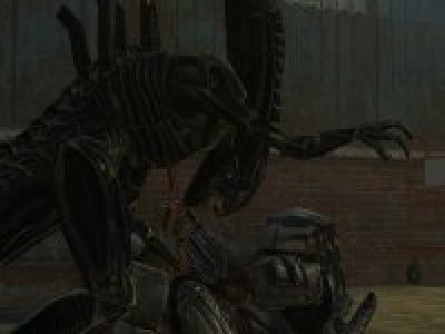 AVP Pack