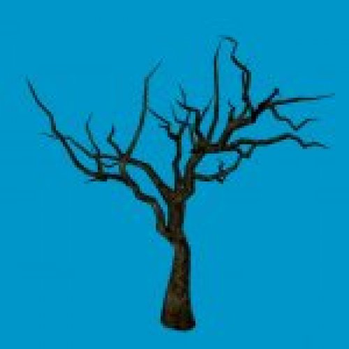 jn_eviltree_01_02_bb