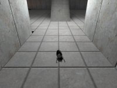 Testchamber 16