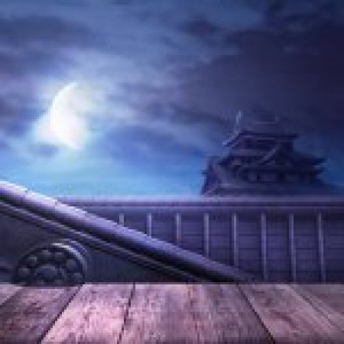 Suzaku Castle Night (Ryu Stage)
