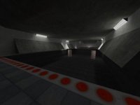 skillrun_euthanasia