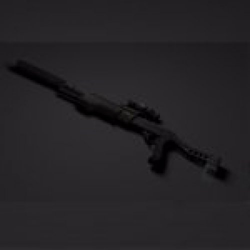 Custom SPAS-12