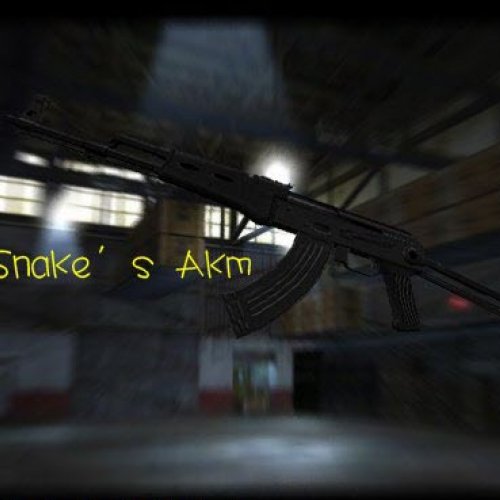 Ten Snake s Akm