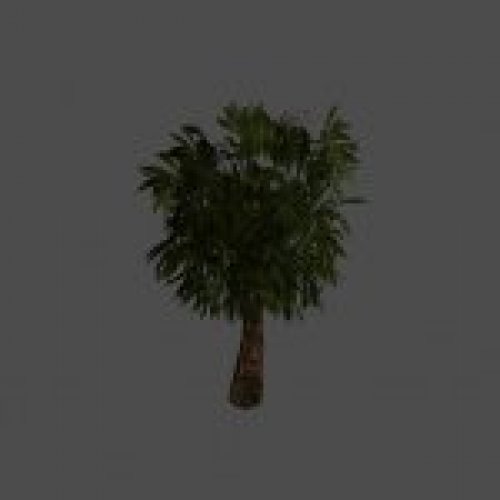 peri_tree1