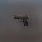 P250 default mini