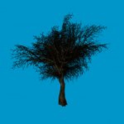 jn_eviltree03_skybox