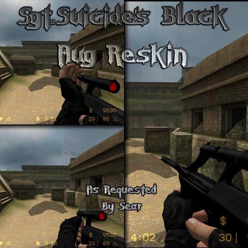 Black Aug Reskin
