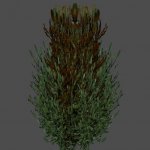 foliage_04