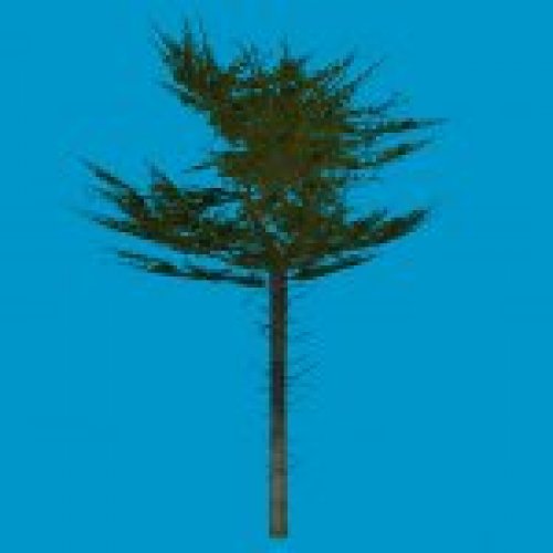 tree_d