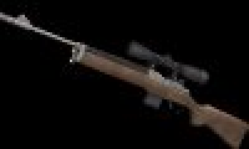 Carbine M21