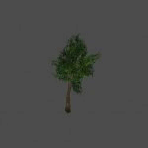 tree19