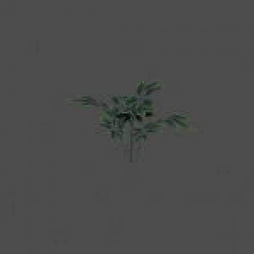 bush54