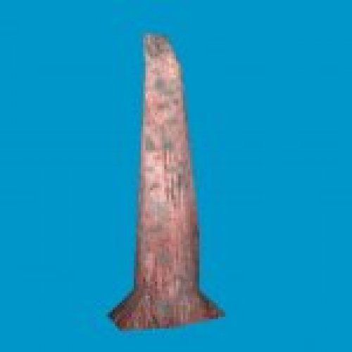 jn_blue_mushroom_02_gib01