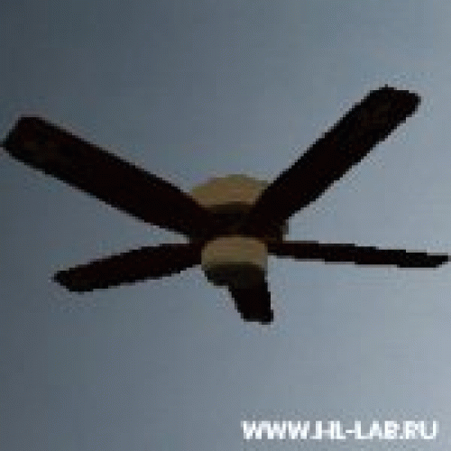fan02