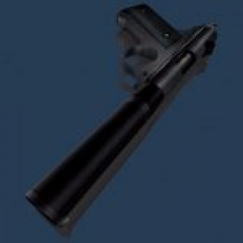 AWR Arctic Warfare Ruger Reskin