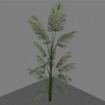 Mall_bush02