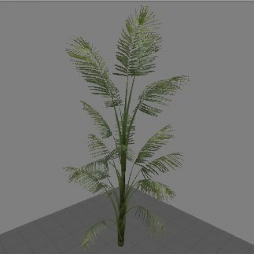 Mall_bush02