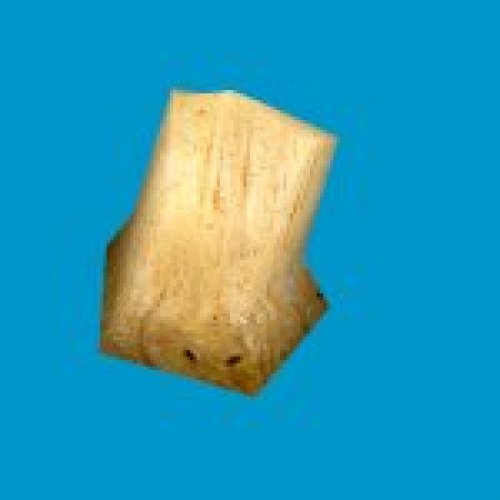 jn_orange_mushroom_01_gib06