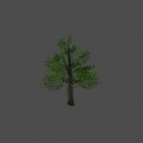 tree29