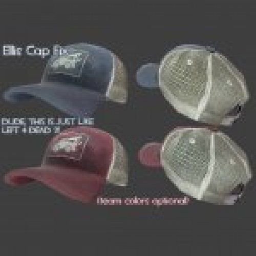 Ellis Cap Fix V.2