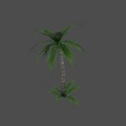 prop_rimpalm1b