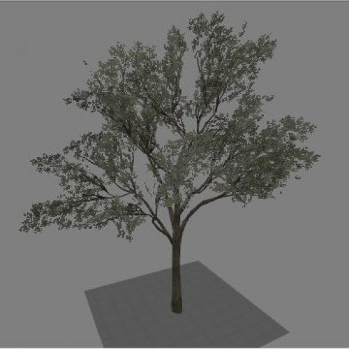Mall_tree_medium01