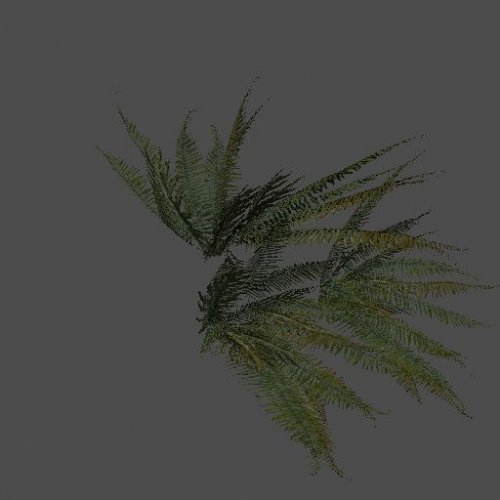p2_bush03