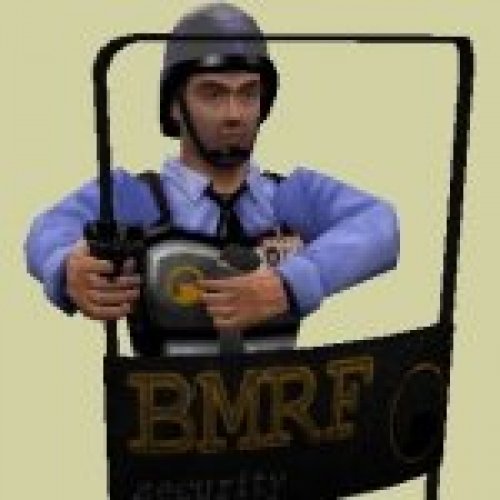 BMRF Shield Security