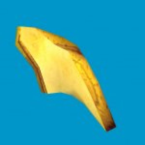 squash 02 gib02