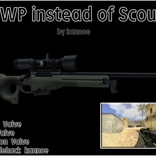 Scout with AWP