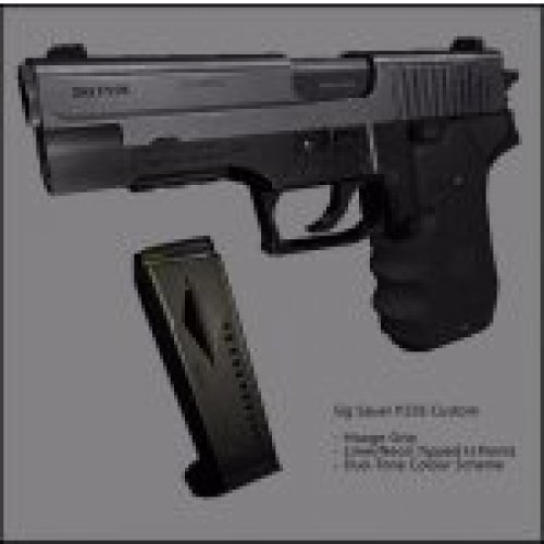 Sig Sauer P226 Custom