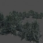 got_BC_Sapin01